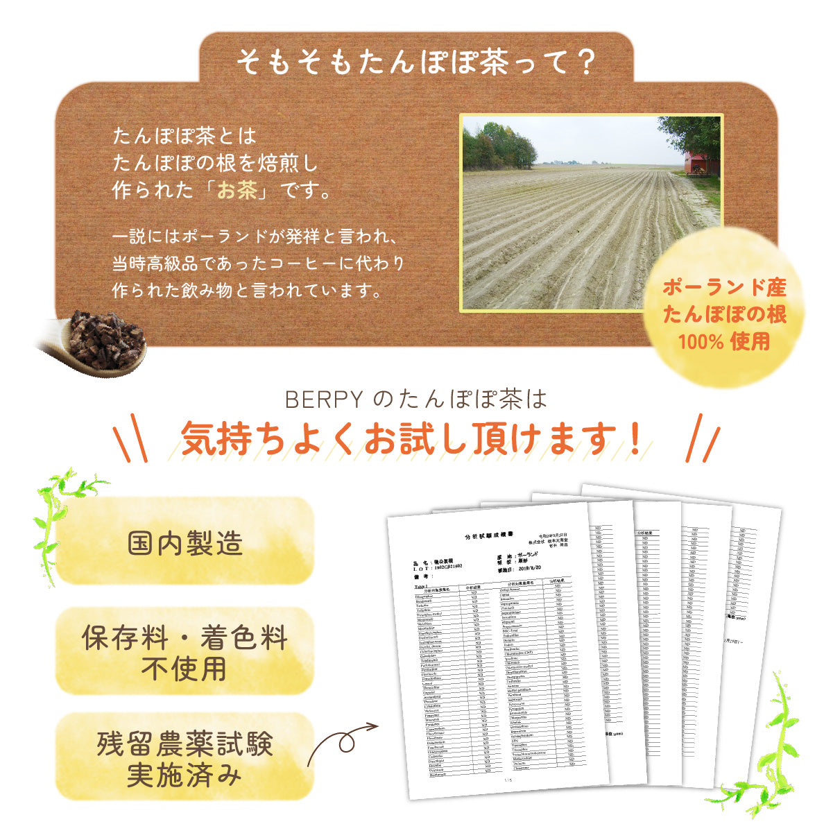 たんぽぽ茶 国内焙煎 2g×30包 ノンカフェイン ティーバッグ 母乳 育児 タンポポコーヒー 無添加