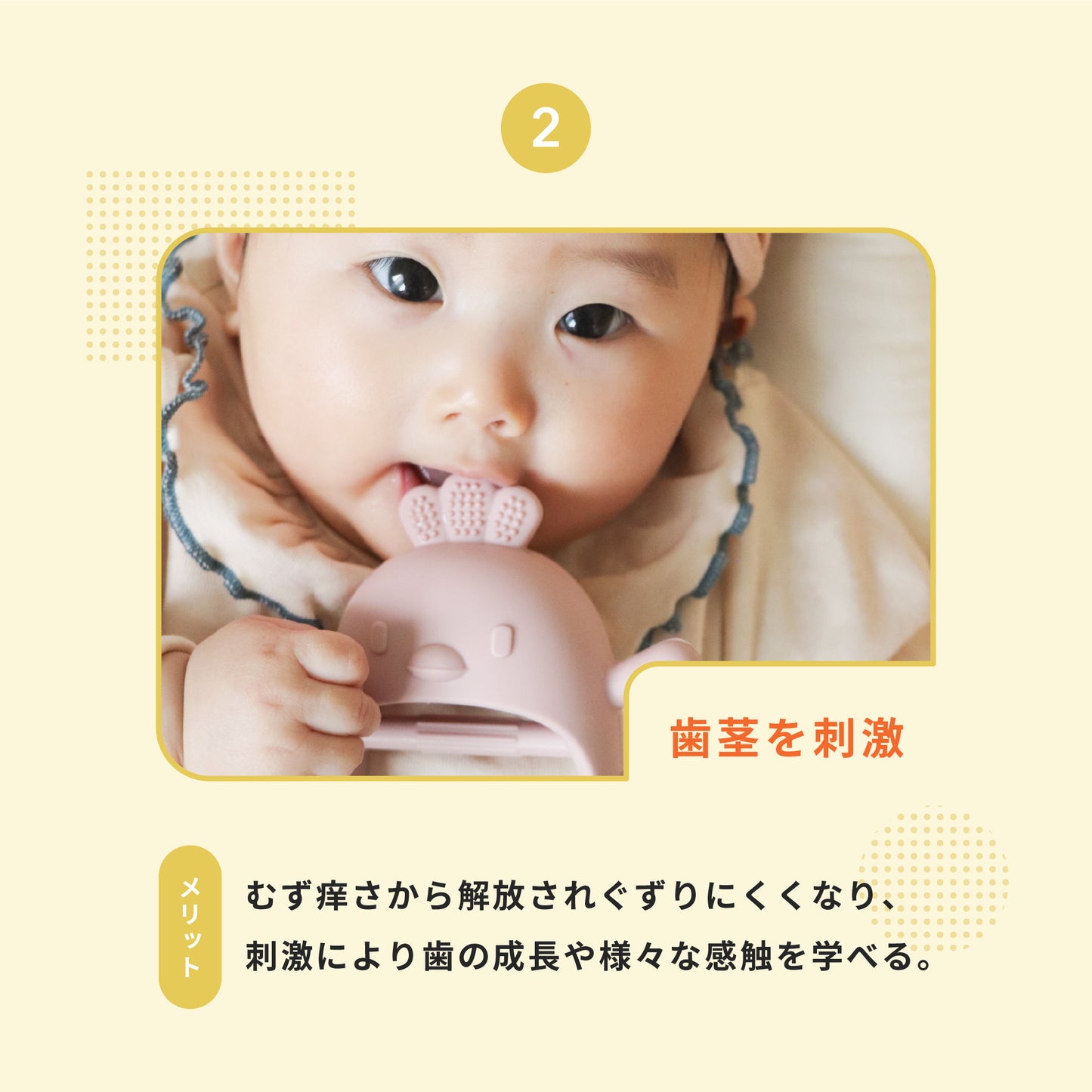 かみかみチキン｜カポッとはめて、落としにくい歯がため