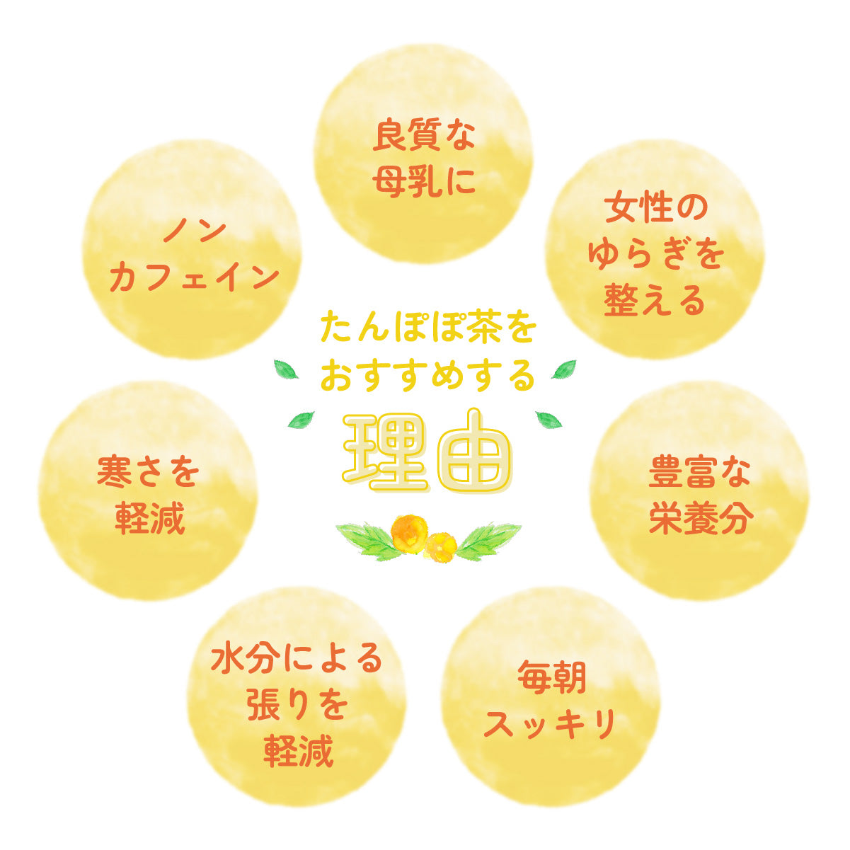 たんぽぽ茶 国内焙煎 2g×30包 ノンカフェイン ティーバッグ 母乳 育児 タンポポコーヒー 無添加
